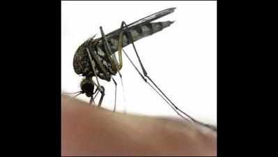 Dist to beef up fight against malaria