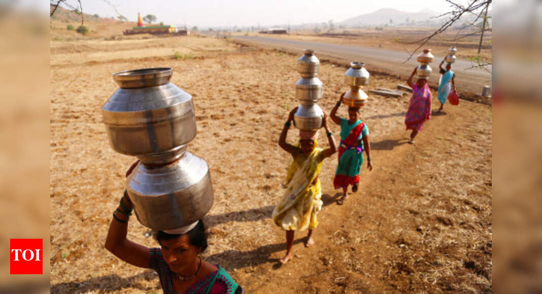 Drought threat looms over Andhra | Vijayawada News - Times of India