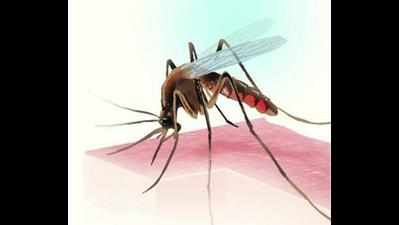 Dengue virals in city, 32 cases in five days