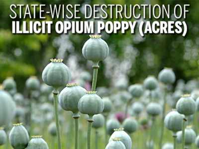 Is West Bengal the largest cultivator of illicit opium? | India News ...