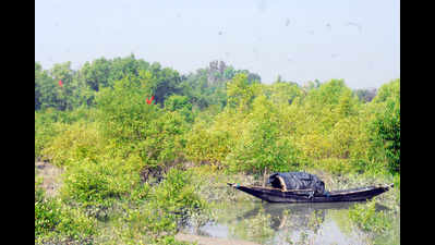 Heading for Sunderbans? You may need a pass