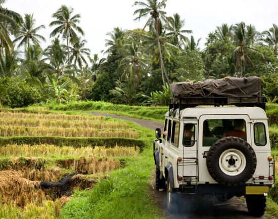 Have a close encounter with some of Bali&rsquo;s exotic wildlife