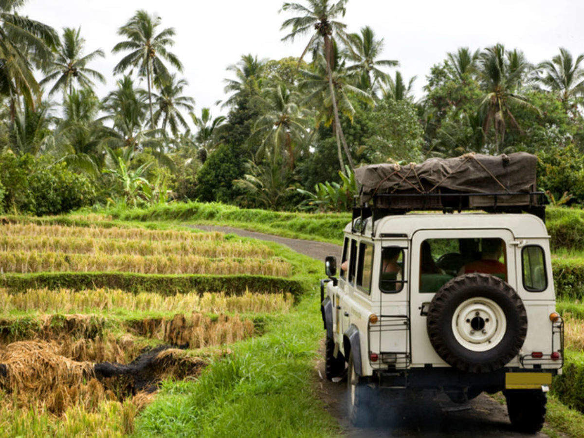 Why Does Wildlife Matters? - Taman Safari Bali