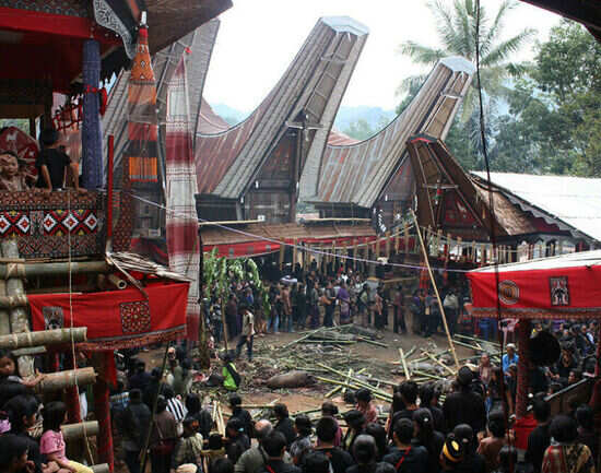 Torajan Funeral Ceremony, Sulawesi