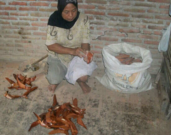 Banyusumurup Traditional Village, Imogiri, Yogyakarta