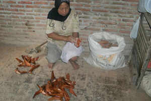Banyusumurup Traditional Village, Imogiri, Yogyakarta