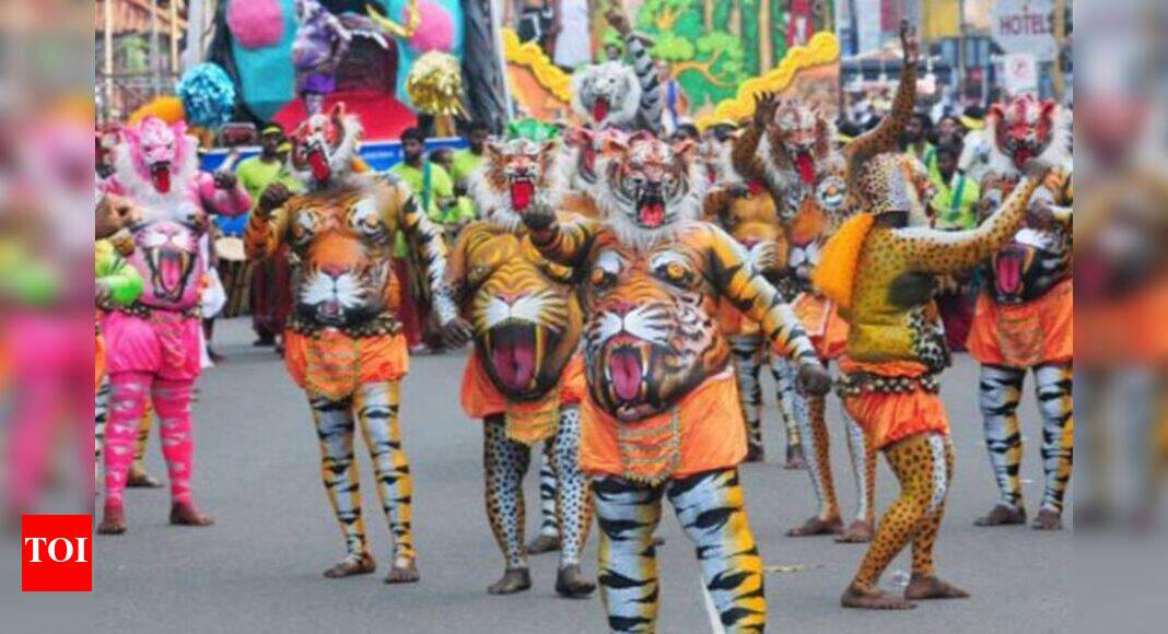tiger dance costume