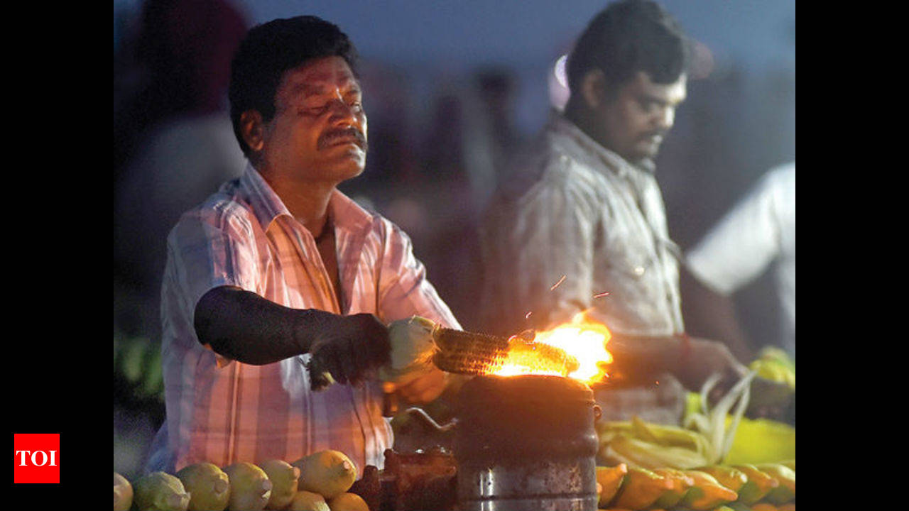 Roasted Corn: Where memories are made of masala kadalai | Chennai News -  Times of India