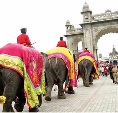 Dasara Jumbos Check Into Mysuru Palace | Mysuru News - Times Of India