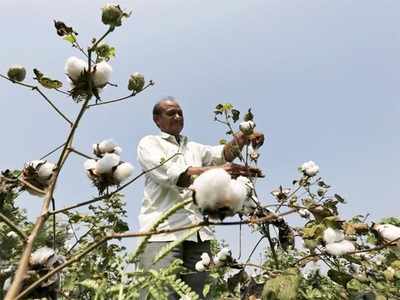 Global seed giants join hands against the govt's proposed regulatory mechanism