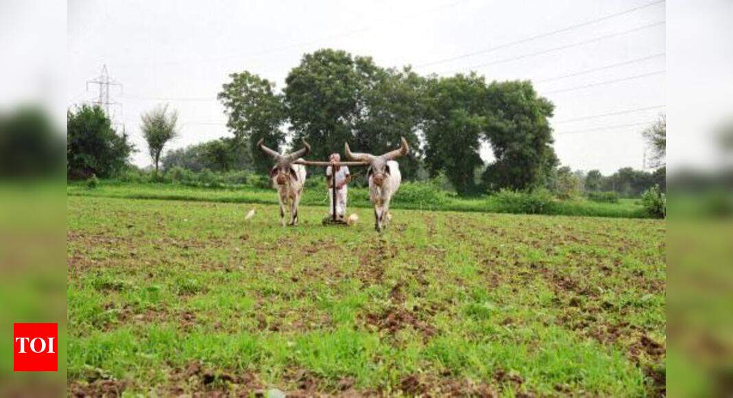 Farmers protest for release of Cauvery water | Trichy News - Times of India