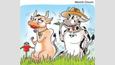 Foreign bulls ka character dheela: Haryana minister Om Prakash Dhankar