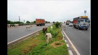 NH-8 to be free from encroachments soon