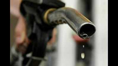 'Biofuel can be alternative to fossil fuel'