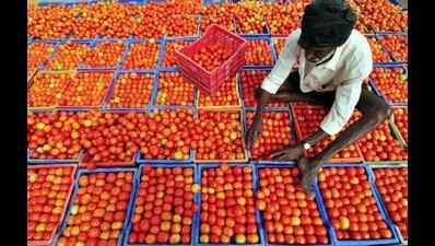 Tomato, onion retail prices crash