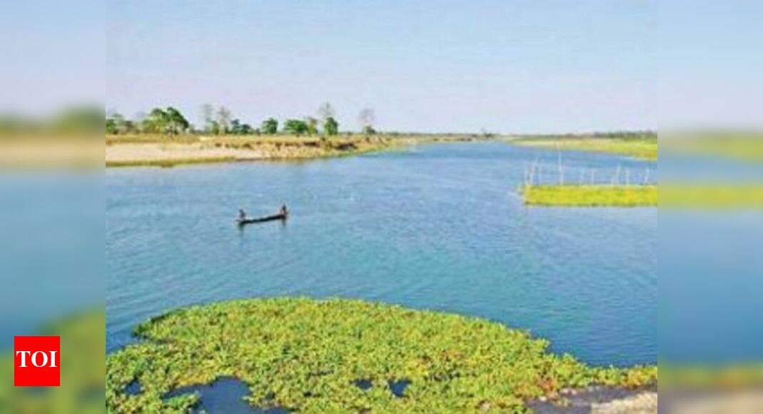 Majuli named world's largest river island Guwahati News Times of India