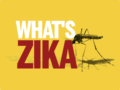 Aedes brings Zika fears closer home
