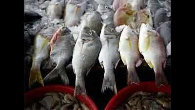 26 fish selling outlets to be opened in Bhubaneswar