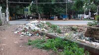 Vibhutipura lake is in danger Times of India