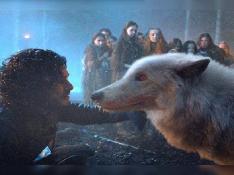 husky game of thrones