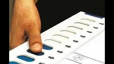 In statistical quirk, Chennai has more voters than adults