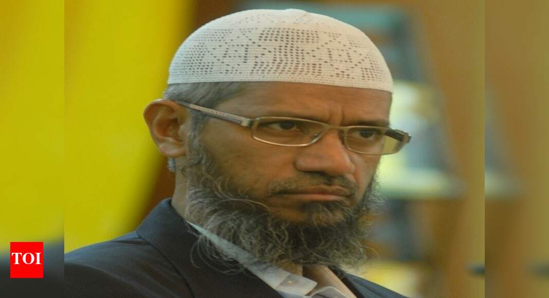 Foreign funding to Naik's NGO will need prior nod - Times of India