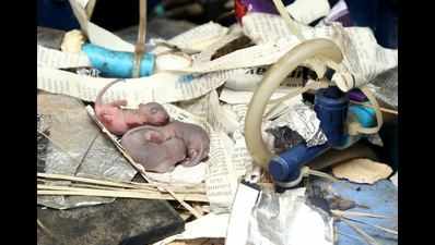 Rats found in Coimbatore school’s water purifiers
