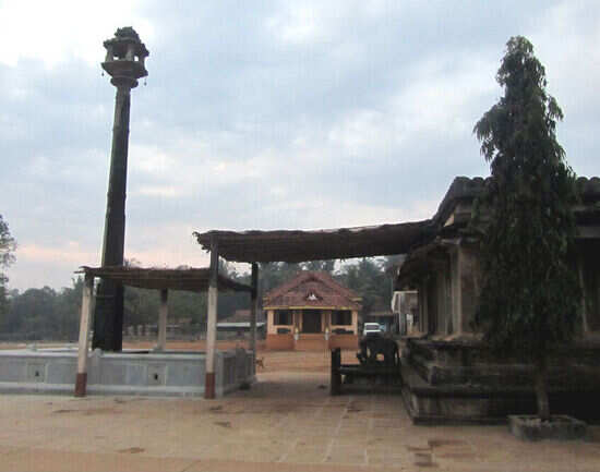 Sonda Mutt