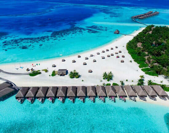 Constance Le Prince Maurice