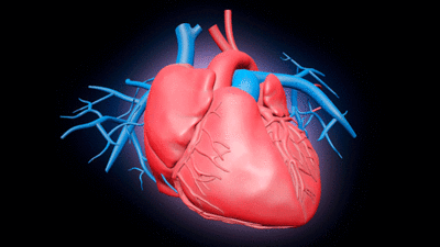 Man with three coronary artery blocks cured without surgery in Chennai