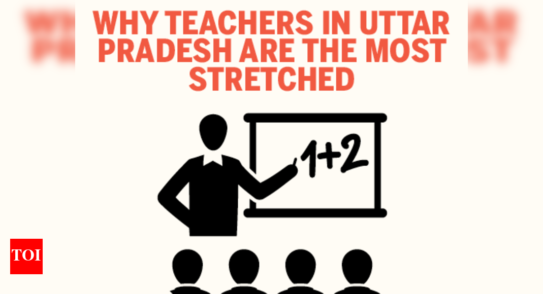 states-with-the-best-pupil-teacher-ratio-and-the-worst-india-news