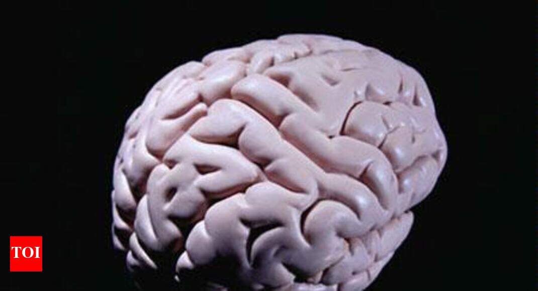 675 gram tapeworm cyst removed from teen's brain Ahmedabad News