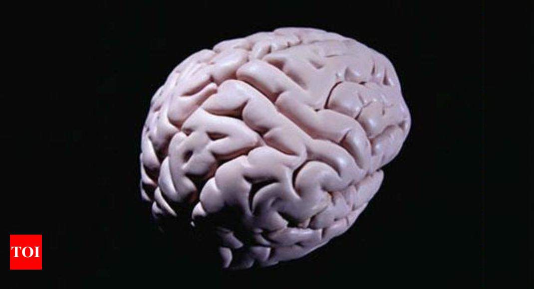 Старение мозга. Старческое слабоумие. Мозг обложка. Болезнь Альцгеймера.