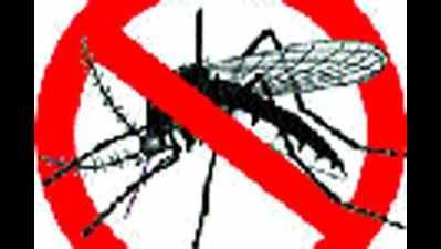 Mosquitoes breed in dumped sewage water: Central Park-2 residents