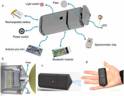 New device can tell if fruit is ripe