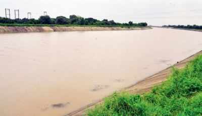 Government to revive JLN Canal for boosting irrigation to boost irrigation