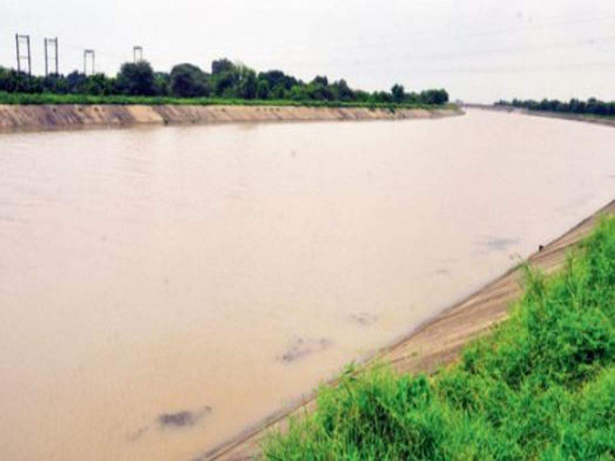 Jln Canal Government To Revive Jln Canal For Boosting Irrigation To Boost Irrigation Chandigarh News Times Of India