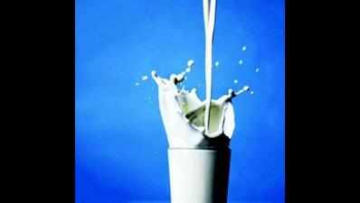 Milk scarcity stares at Patnaites on Bakrid day