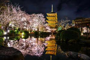 The Five Storyed Pagoda