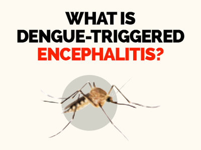 Danger lurks with Dengue-encephalitis