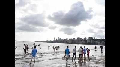 <arttitle><strong/>ALERT FOR VISARJAN: Jellyfish, stingray warning on Mumbai's beaches</arttitle>