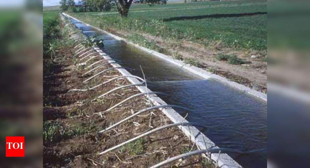 Over 70,000 drip irrigation subsidy seekers await approval Mumbai