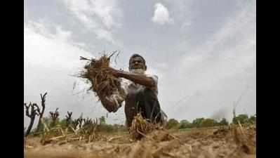 Three booked for swindling aid for farmers