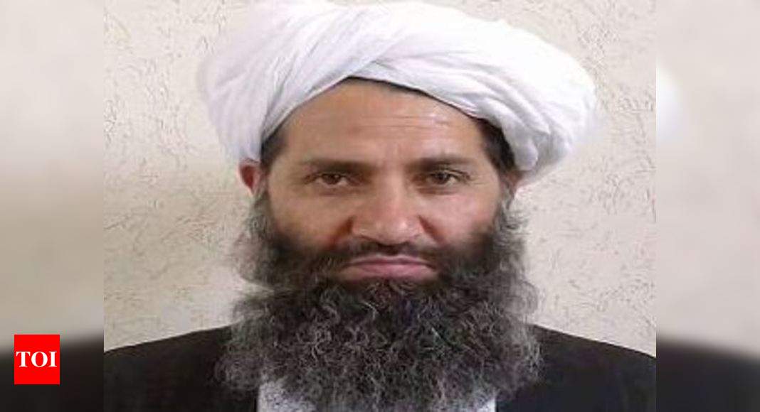 taliban-leader-not-designated-terrorist-is-mystery-india-at-un-india