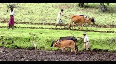 Sainath, experts to speak on farm crisis