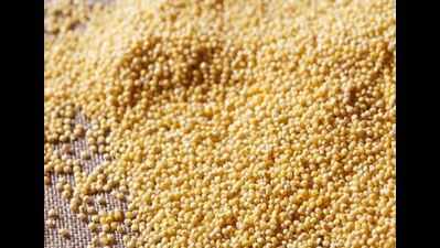 Demand grows for healthy millet dishes