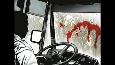 Tamil Nadu truck driver stranded in Karnataka pleads for govt help to reach home