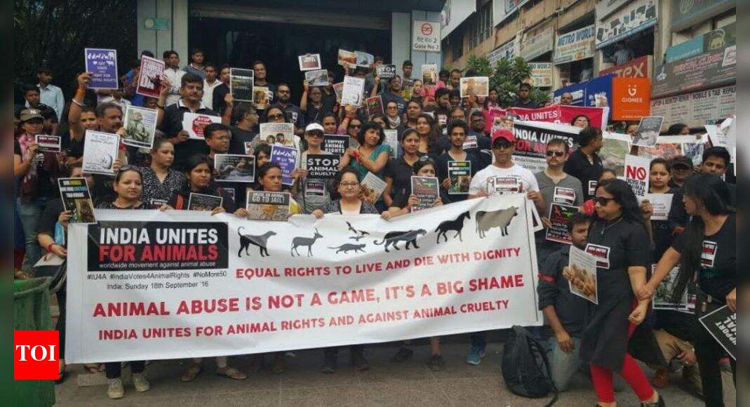 Animal Lovers Noida unites for animal rights Noida News Times of India