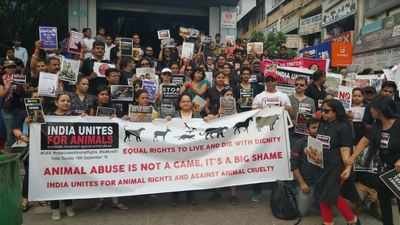Noida unites for animal rights | Noida News - Times of India
