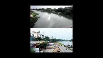 Pune metro would threaten riverbank ecosystem: Report